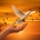 assemblea ordinaria 2022 tema verso la pace - immagine colomba di pace
